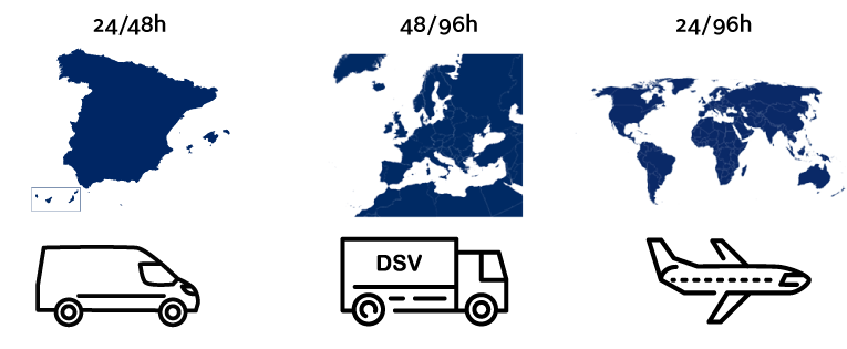 distribucion ecommerce dsv solutions